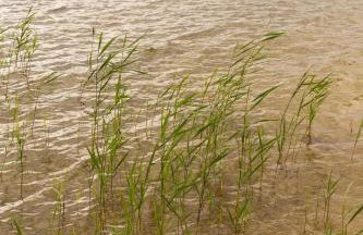 Przystań Kormoran - Foto 39