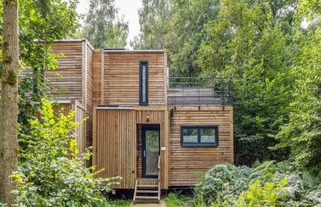 Tranquil Forest Hideaway - Foto 20