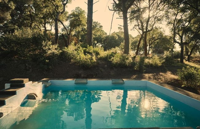 Quinta dos Anjos - Foto 31