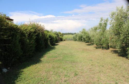 Villa Oliva - Foto 21