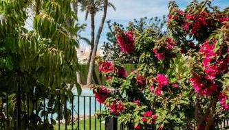 Playa Carabassi Villa - Foto 2, Garden