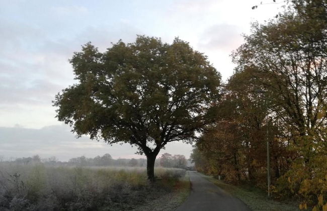 Forest Chalet in Lanklaar - Foto 31