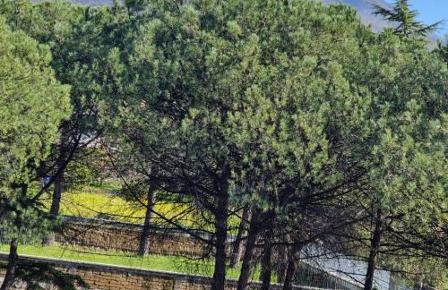 Casa vacanze VesuviusView - Foto 11