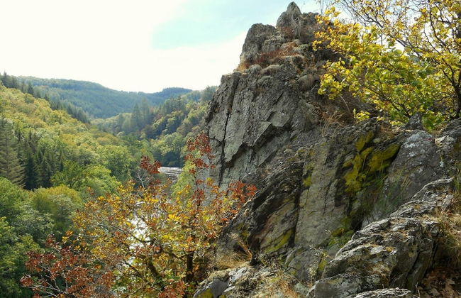 Charming Cottage With Pool in Houffalize - Photo 40