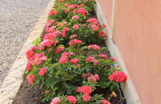 Relais Villa Ambrosetti - Foto 11