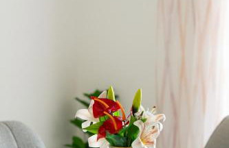 Villa Senka - Foto 44