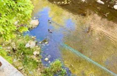 Le Palm Appartement élégant & Design En Bord Rivière - Foto 22