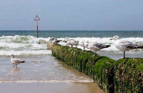 Ferienzentrum Wenningstedt - Foto 47