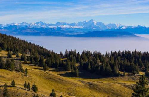 Studio tout confort - Foto 40