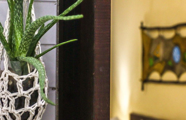 Solar da Gameleira - Foto 62