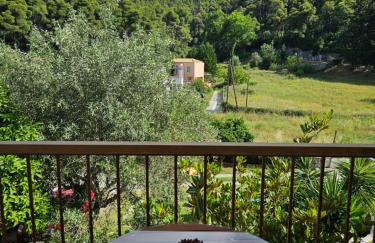 The Pine Trees - Foto 25