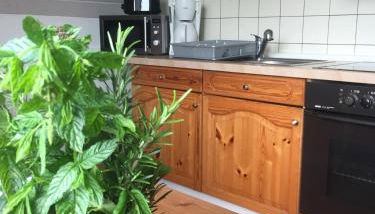 Äpfel und Elbe - Photo 5