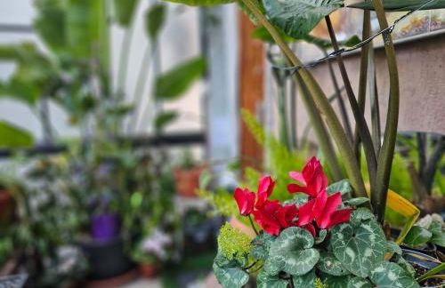 Ellera Suite con Parcheggio Privato - Albisola Superiore - Foto 47