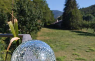 Maison carrée - domaine du vieux tilleul - Foto 39