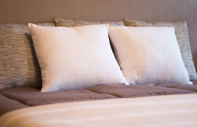 Quinta do Regato Douro - Foto 14