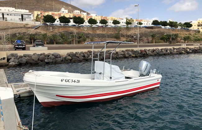 Fuerteventura Dolphin & Whale Watching by Speedboat + Snorkel - Foto 5