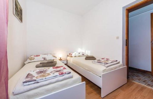 Oleander adria - Foto 14