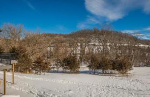 Hot Tub & Fire Pit - Galena Spring Escape - Foto 60