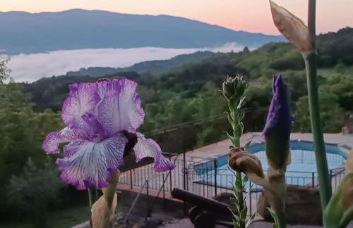 Rustico Toscano - Foto 18