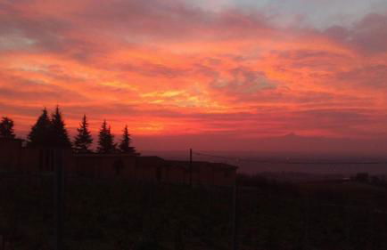 Casa Fornace 28 - Photo 7