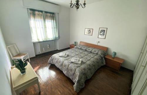 Flat Seriate - Photo 25