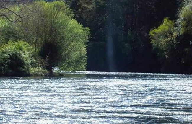 Cabana 4 Personas En Hermoso Paisaje En Pucon - Foto 24