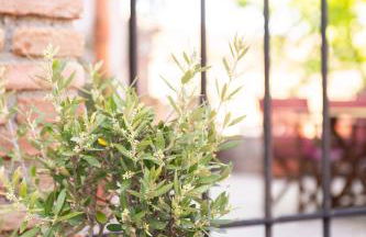 ΑΝeΜΙ - Photo 44