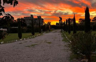 Il Tiglioré - Foto 22