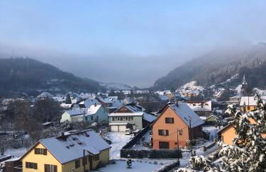 Le Kesbel entre Strasbourg et Colmar en centre Alsace - Foto 25