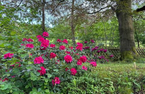 Erholung im Wald - mit Schwimmbad - Foto 43