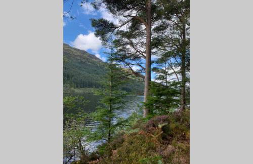 North Lodge Kilmun - Foto 18