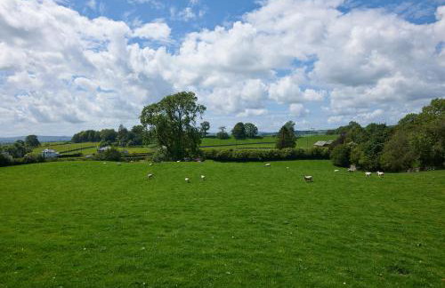 Helm Mount Lodge & Cottages - Foto 54