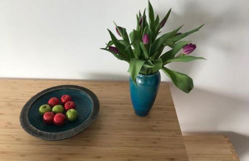 Ferienwohnungen Wolke - Foto 24