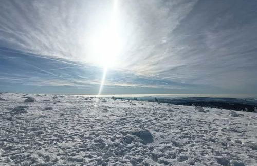 Holiday Home Schloßblick - Foto 50