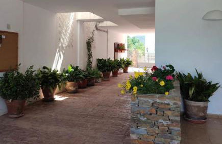 El Domingo en el Valle - Foto 43