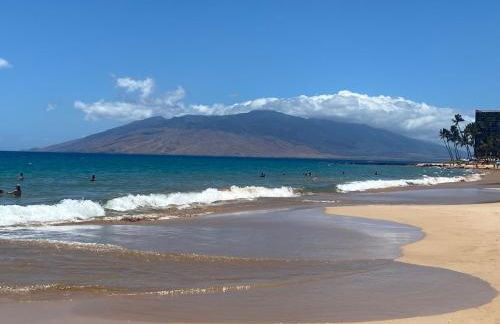 Wailea Hidden Gem - Foto 54
