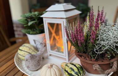 Ferienwohnung am Goethepark im Leipziger Neuseenland - Foto 63