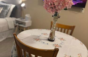 A2 Studio, Mins to Downtown, UofM, Hospitals, Restaurants & Stadium - Foto 15