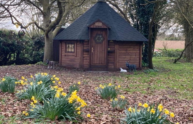 Starry Meadow - Foto 59