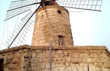 La maiolica - Foto 50