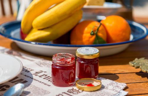 MEGAS GIALOS HARMONY - Foto 38