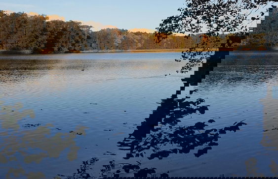 Haus Waldidyll am See 1 - Foto 27