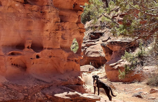 Canyons of Escalante RV Park - Foto 67