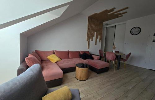 Apartament Dolina Baryczy Milicz - Foto 18