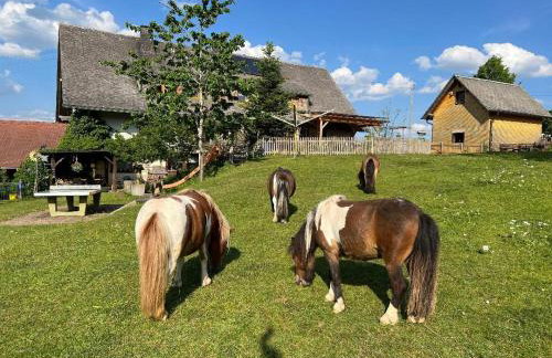 Landhaus Isolde - Photo 28