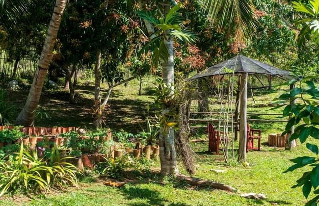 EstudioArte Alojamiento - Foto 8