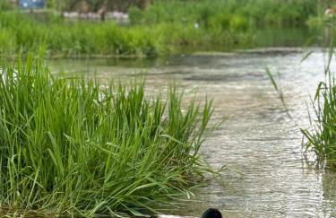 Alla Posta Family House - Foto 27