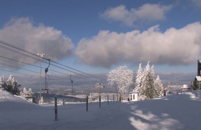 Ferienwohnung Max Riedl - Foto 25