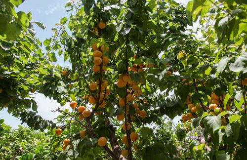 Villa Ammaliante - Foto 24