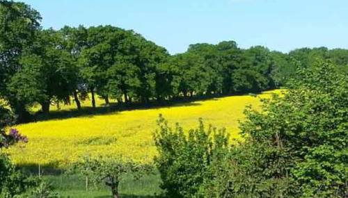 Ferienhaus für Zwei Gegenüber von Usedom - Foto 4